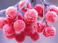 Ŵ